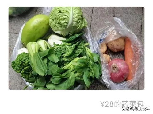 汇总了郑州疫情期间各大平台的蔬菜包,性价比到底怎样