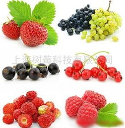 库存 蔓越莓价格 库存 蔓越莓厂家  